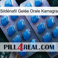 Sildénafil Gelée Orale Kamagra viagra2